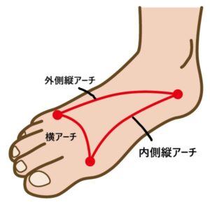 足のアーチの説明図